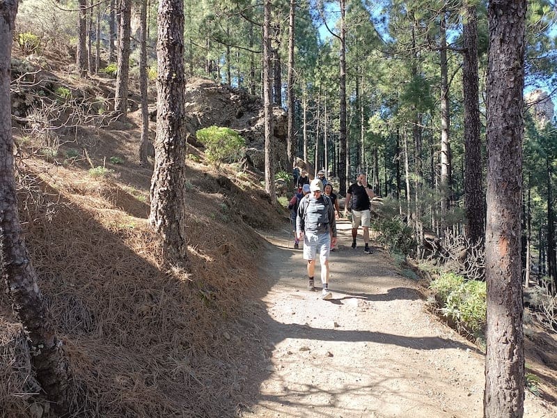 hiking to Roque Nublo