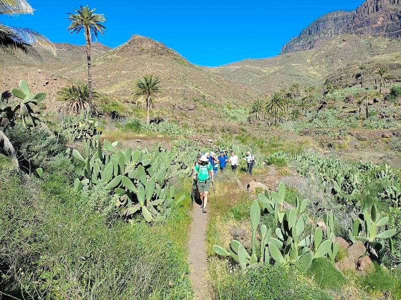 Wandern Gran Canaria Veneguera