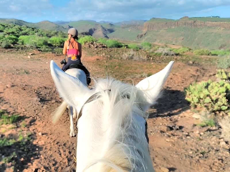 montar a caballo - horse riding - wandern